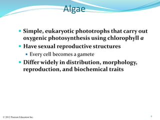 Algae
 Simple, eukaryotic phototrophs that carry out
oxygenic photosynthesis using chlorophyll a
 Have sexual reproducti...