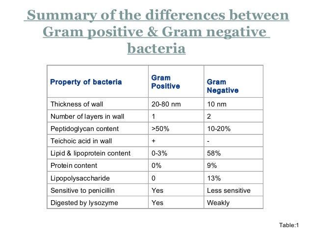 gram positive vs gram negative cluster gram positive vs gram negative cluster