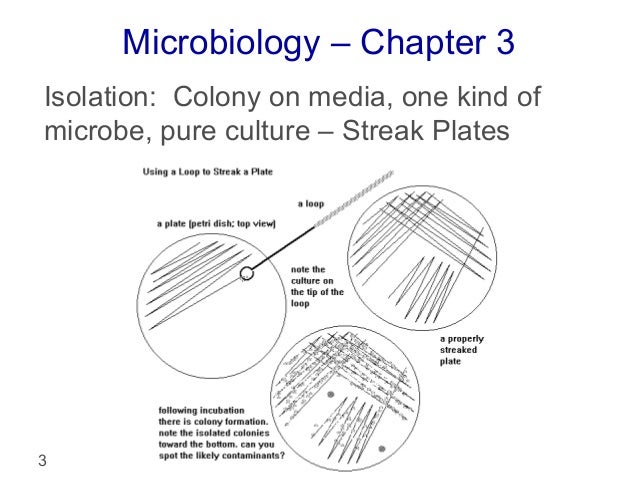 inoculation techniques in microbiology pdf