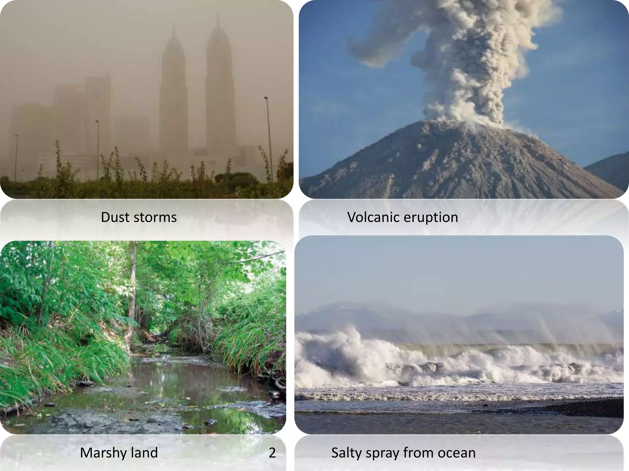 Dust storms
Salty spray from oceanMarshy land
Volcanic eruption
2
 