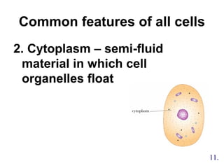 Common features of all cells
2. Cytoplasm – semi-fluid
material in which cell
organelles float
11.
 