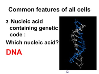 Common features of all cells
3. Nucleic acid
containing genetic
code :
Which nucleic acid?
DNA
12.
 