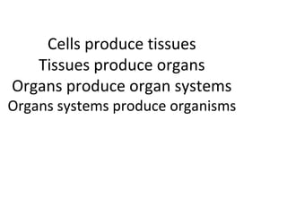 Cells produce tissues
Tissues produce organs
Organs produce organ systems
Organs systems produce organisms
 