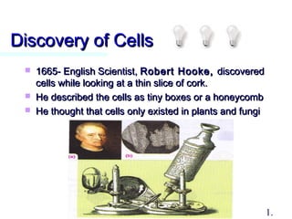 Discovery of CellsDiscovery of Cells
 1665- English Scientist,1665- English Scientist, Robert Hooke,Robert Hooke, discovereddiscovered
cells while looking at a thin slice of cork.cells while looking at a thin slice of cork.
 He described the cells as tiny boxes or a honeycombHe described the cells as tiny boxes or a honeycomb
 He thought that cells only existed in plants and fungiHe thought that cells only existed in plants and fungi
1.
 