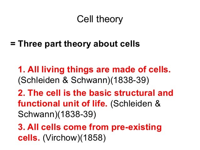 parts of cell 3 theory biotech cell the B.tech 2.1 theory u i bls parts of cell 3 theory biotech cell the B.tech 2.1 theory u i bls