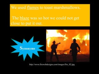 We used flames to toast marshmallows.
The blaze was so hot we could not get
close to put it out.
http://www.firewebdesigns.com/images/fire_02.jpg
Synonyms
 