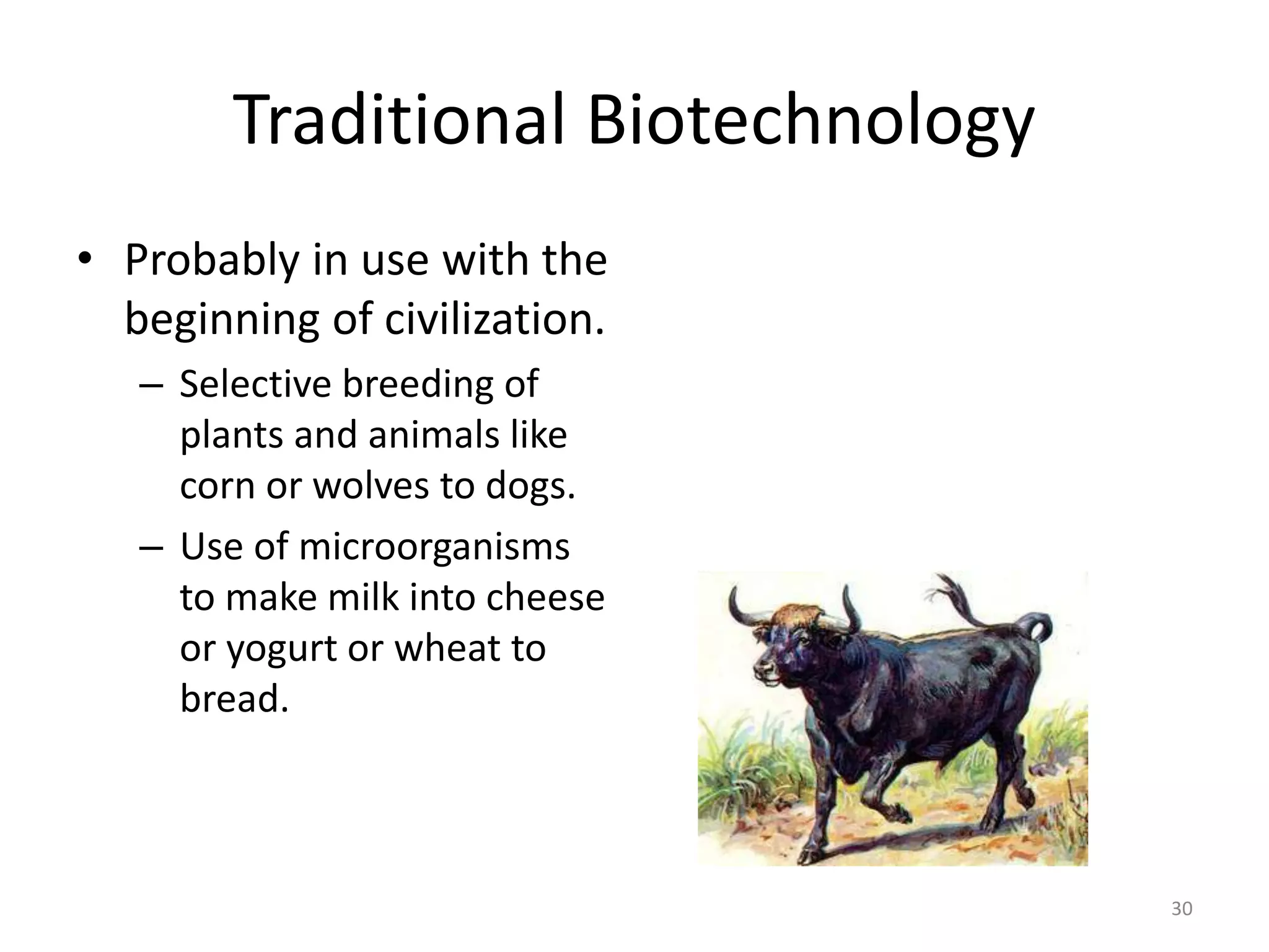 Traditional Biotechnology
• Probably in use with the
beginning of civilization.
– Selective breeding of
plants and animals like
corn or wolves to dogs.
– Use of microorganisms
to make milk into cheese
or yogurt or wheat to
bread.
30
 