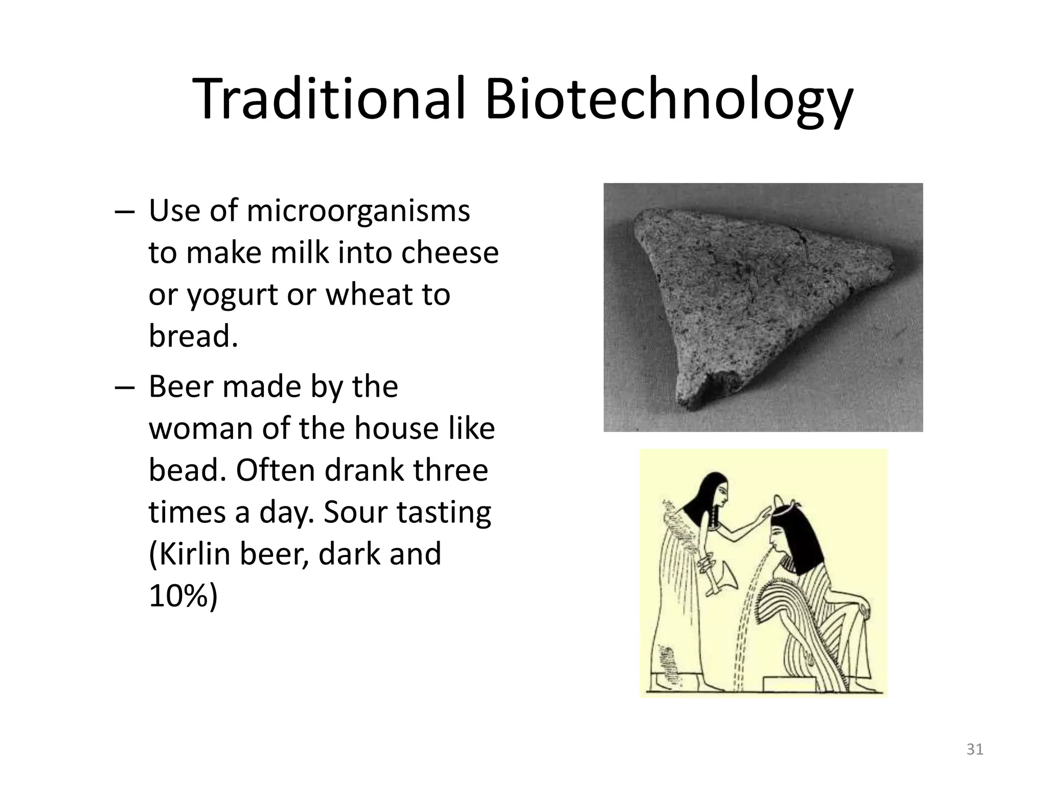 Traditional Biotechnology
– Use of microorganisms
to make milk into cheese
or yogurt or wheat to
bread.
– Beer made by the
woman of the house like
bead. Often drank three
times a day. Sour tasting
(Kirlin beer, dark and
10%)
31
 