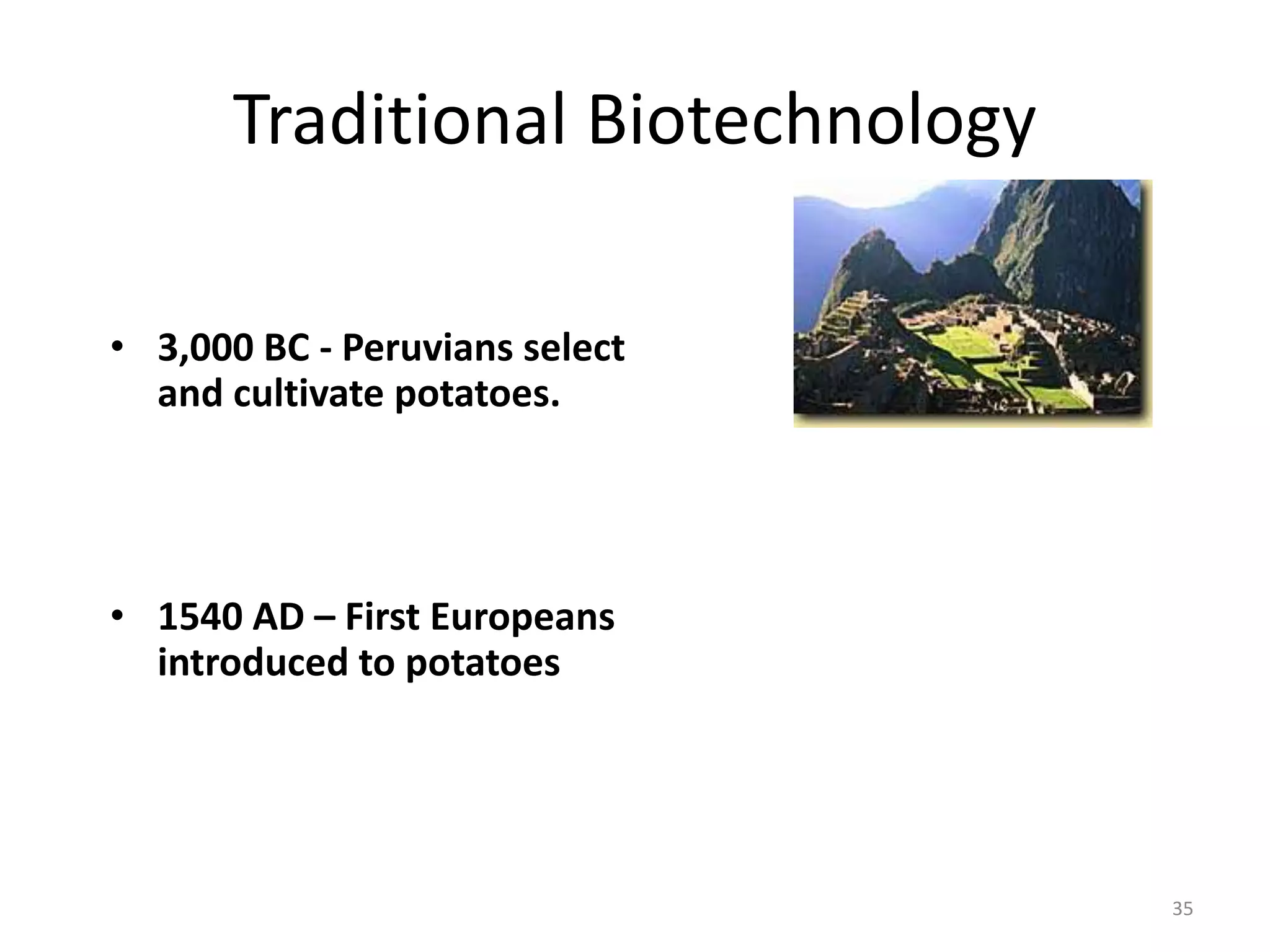 Traditional Biotechnology
• 3,000 BC - Peruvians select
and cultivate potatoes.
• 1540 AD – First Europeans
introduced to potatoes
35
 