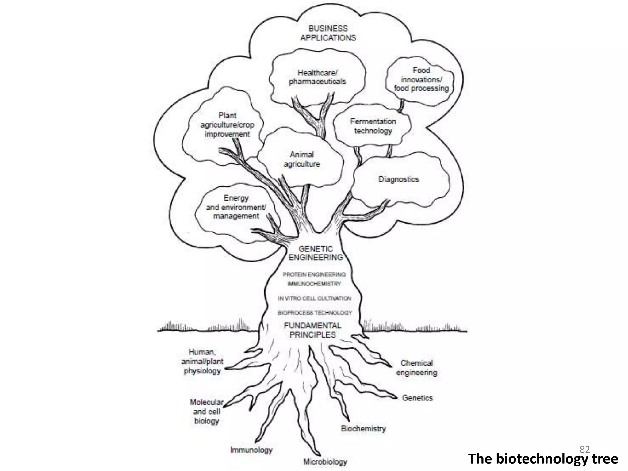 The biotechnology tree
82
 