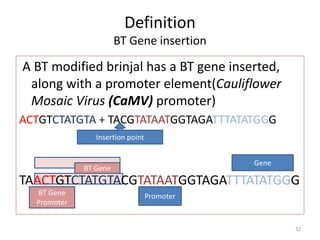 B.Tech Biotechnology II Elements of Biotechnology Unit 4 DNA ...
