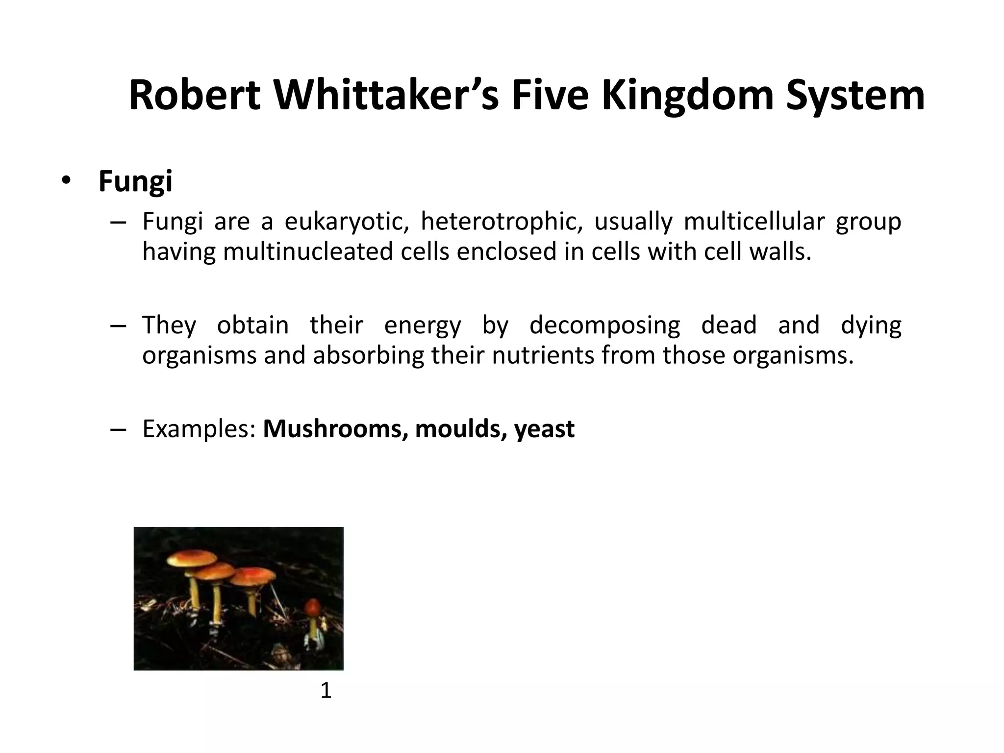 Robert Whittaker’s Five Kingdom System
• Fungi
– Fungi are a eukaryotic, heterotrophic, usually multicellular group
having multinucleated cells enclosed in cells with cell walls.
– They obtain their energy by decomposing dead and dying
organisms and absorbing their nutrients from those organisms.
– Examples: Mushrooms, moulds, yeast
1
 