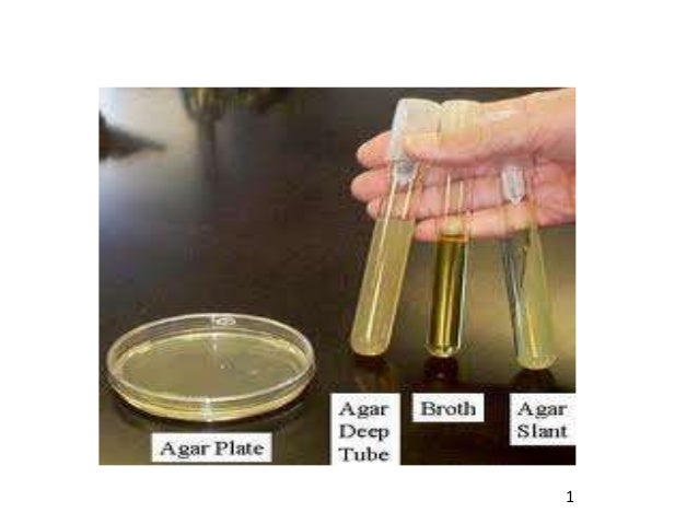 4.2 test sugar blood 4.2 Culture Bacteriology Unit B.sc. Microbiology Media