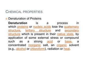 B.Sc. Biochem II Biomolecule I U 3.2 Classification of Protein ...