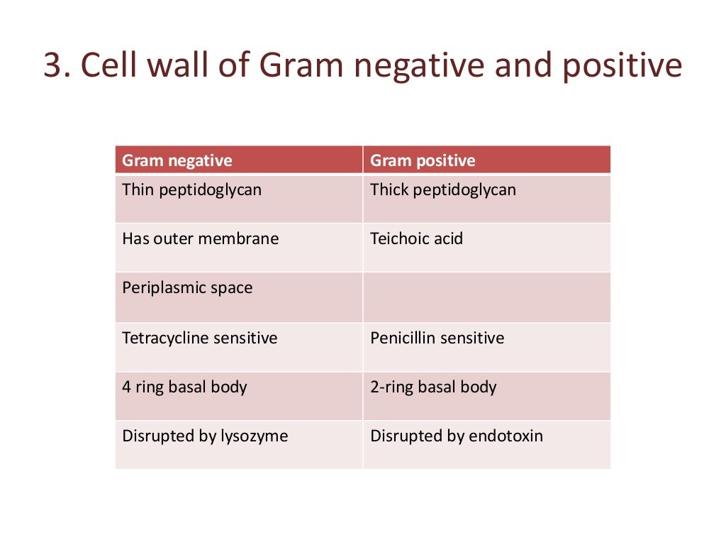 B.sc. microbiology II Bacteriology Unit II Morphology of Bacterial Ce…