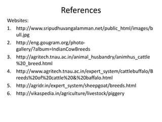 References
Websites:
1. http://www.sripudhuvangalamman.net/public_html/images/b
ull.jpg
2. http://eng.gougram.org/photo-
g...