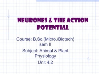 Neurones & the Action
Potential
Course: B.Sc.(Micro./Biotech)
sem II
Subject: Animal & Plant
Physiology
Unit 4.2
 
