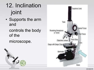 Inclination Microscope B.Sc. Biochemistry II Cellular Biochemistry Unit 4 Basic Techniques in ...
