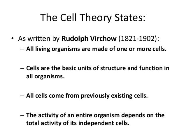 cell theory definition