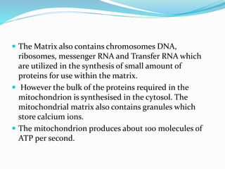  The Matrix also contains chromosomes DNA,
ribosomes, messenger RNA and Transfer RNA which
are utilized in the synthesis of small amount of
proteins for use within the matrix.
 However the bulk of the proteins required in the
mitochondrion is synthesised in the cytosol. The
mitochondrial matrix also contains granules which
store calcium ions.
 The mitochondrion produces about 100 molecules of
ATP per second.
 