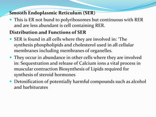 Smooth Endoplasmic Reticulum (SER)
 This is ER not bund to polyribosomes but continuous with RER
and are less abundant is cell containing RER.
Distribution and Functions of SER
 SER is found in all cells where they are involved in: ‘The
synthesis phospholipids and cholesterol used in all cellular
membranes including membranes of organelles.
 They occur in abundance in other cells where they are involved
in: Sequestration and release of Calcium ions a vital process in
muscular contraction Biosynthesis of Lipids required for
synthesis of steroid hormones
 Detoxification of potentially harmful compounds such as alcohol
and barbiturates
 