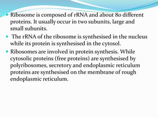  Ribosome is composed of rRNA and about 80 different
proteins. It usually occur in two subunits, large and
small subunits.
 The rRNA of the ribosome is synthesised in the nucleus
while its protein is synthesised in the cytosol.
 Ribosomes are involved in protein synthesis. While
cytosolic proteins (free proteins) are synthesised by
polyribosomes, secretory and endoplasmic reticulum
proteins are synthesised on the membrane of rough
endoplasmic reticulum.
 