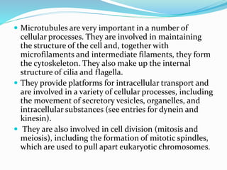  Microtubules are very important in a number of
cellular processes. They are involved in maintaining
the structure of the cell and, together with
microfilaments and intermediate filaments, they form
the cytoskeleton. They also make up the internal
structure of cilia and flagella.
 They provide platforms for intracellular transport and
are involved in a variety of cellular processes, including
the movement of secretory vesicles, organelles, and
intracellular substances (see entries for dynein and
kinesin).
 They are also involved in cell division (mitosis and
meiosis), including the formation of mitotic spindles,
which are used to pull apart eukaryotic chromosomes.
 