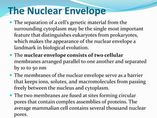The Nuclear Envelope
 The separation of a cell’s genetic material from the
surrounding cytoplasm may be the single most important
feature that distinguishes eukaryotes from prokaryotes,
which makes the appearance of the nuclear envelope a
landmark in biological evolution.
 The nuclear envelope consists of two cellular
membranes arranged parallel to one another and separated
by 10 to 50 nm
 The membranes of the nuclear envelope serve as a barrier
that keeps ions, solutes, and macromolecules from passing
freely between the nucleus and cytoplasm.
 The two membranes are fused at sites forming circular
pores that contain complex assemblies of proteins. The
average mammalian cell contains several thousand nuclear
pores.
 
