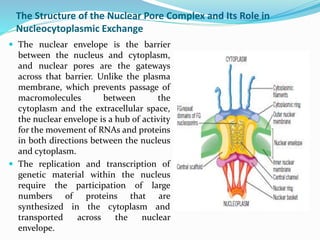 The Structure of the Nuclear Pore Complex and Its Role in
Nucleocytoplasmic Exchange
 The nuclear envelope is the barrier
between the nucleus and cytoplasm,
and nuclear pores are the gateways
across that barrier. Unlike the plasma
membrane, which prevents passage of
macromolecules between the
cytoplasm and the extracellular space,
the nuclear envelope is a hub of activity
for the movement of RNAs and proteins
in both directions between the nucleus
and cytoplasm.
 The replication and transcription of
genetic material within the nucleus
require the participation of large
numbers of proteins that are
synthesized in the cytoplasm and
transported across the nuclear
envelope.
 