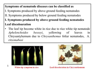 Nematode, Definition, Description, Diseases, & Facts