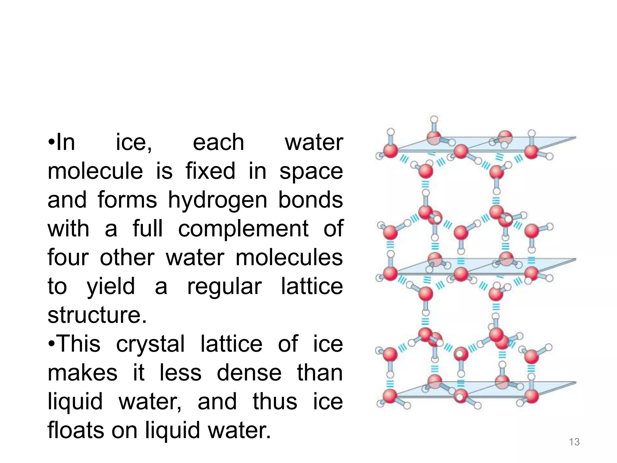 B.Sc. Biochem II BPI Unit 1 Water, pH and Buffer | PPTX