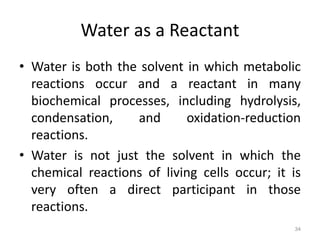 Water Reactives Examples B.Sc. Biochem II BPI Unit 1 Water, pH and Buffer | PPTX