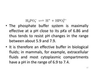 B.Sc. Biochem II BPI Unit 1 Water, pH and Buffer | PPTX
