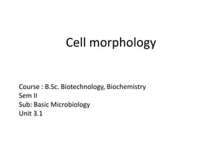 Cell morphology
Course : B.Sc. Biotechnology, Biochemistry
Sem II
Sub: Basic Microbiology
Unit 3.1
 