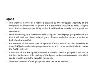 Ligand
• The chemical nature of a ligand is dictated by the biological specificity of the
compound to be purified. In practice it is sometimes possible to select a ligand
that displays absolute specificity in that it will bind exclusively to one particular
compound.
• More commonly, it is possible to select a ligand that displays group selectivity in
that it will bind to a closely related group of compounds that possess a similar in-
built chemical specificity.
• An example of the latter type of ligand is 50AMP, which can bind reversibly to
many NADþ-dependent dehydrogenases because it is structurally similar to part of
the NADþ molecule.
• It is essential that the ligand possesses a suitable chemical group that will not be
involved in the reversible binding of the ligand to the macromolecule, but which
can be used to attach the ligand to the matrix.
• The most common of such groups are NH2, COOH, SH and OH.
 