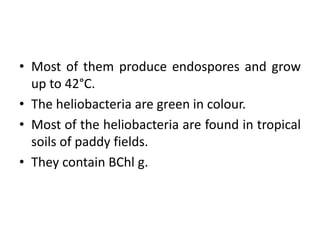 B.Sc Micro II Microbial physiology Unit 1 Bacterial Photosynthesis | PPTX