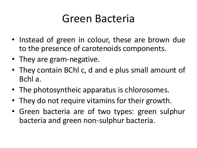 bacterial phenomena bacterial phenomena