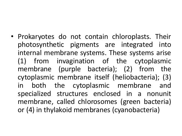 B.Sc Micro II Microbial physiology Unit 1 Bacterial Photosynthesis
