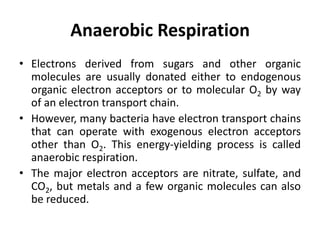B.Sc Micro II Microbial physiology Unit 2 Bacterial Respiration