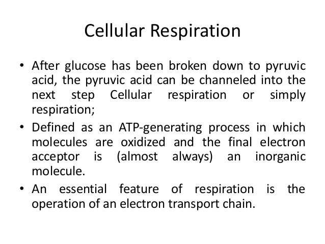 B.Sc Micro II Microbial physiology Unit 2 Bacterial
