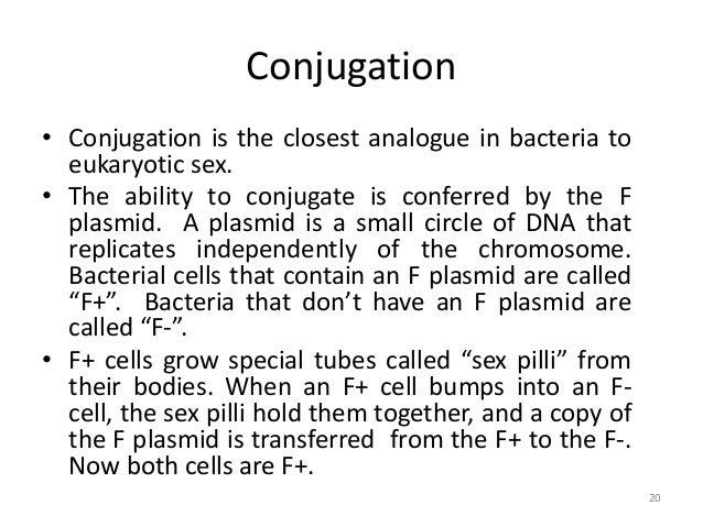 B.Sc. Microbiology/Biotech II Cell biology and Genetics Unit 5 microb…