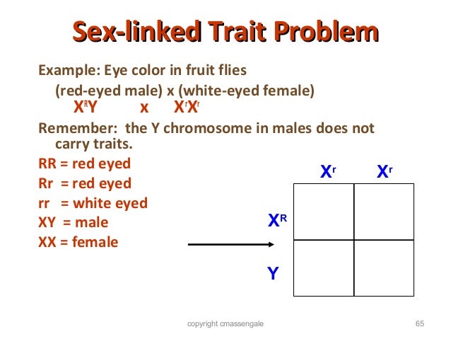 B.Sc. Microb/Biotech II Cell biology and Genetics Unit 4 Mendelian Ge…