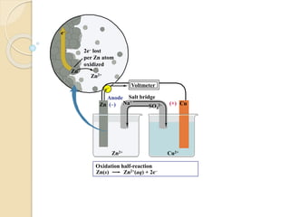 Zn2+
Zn
Oxidation half-reaction
Zn(s)
Salt bridge
Zn2+ Cu2+
Na+
Zn CuSO4
2–
Zn2+(aq) + 2e–
Voltmeter
e–
2e– lost
per Zn atom
oxidized
Anode
(–) (+)
e–
 