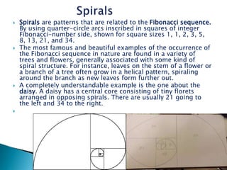 Fibonacci Sequence Using Growing Pattern History of Math | PPTX