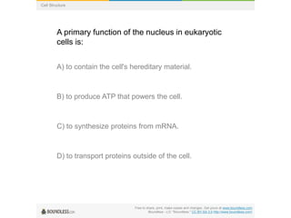 Free to share, print, make copies and changes. Get yours at www.boundless.com
Boundless - LO. "Boundless." CC BY-SA 3.0 http://www.boundless.com/
Cell Structure
A primary function of the nucleus in eukaryotic
cells is:
A) to contain the cell's hereditary material.
B) to produce ATP that powers the cell.
C) to synthesize proteins from mRNA.
D) to transport proteins outside of the cell.
 