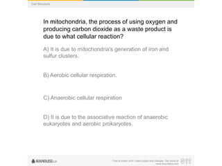 Free to share, print, make copies and changes. Get yours at
www.boundless.com
Cell Structure
In mitochondria, the process of using oxygen and
producing carbon dioxide as a waste product is
due to what cellular reaction?
A) It is due to mitochondria's generation of iron and
sulfur clusters.
B) Aerobic cellular respiration.
C) Anaerobic cellular respiration
D) It is due to the associative reaction of anaerobic
eukaryotes and aerobic prokaryotes.
 