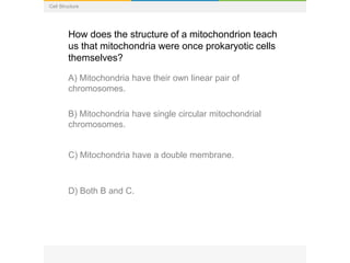 Cell Structure
How does the structure of a mitochondrion teach
us that mitochondria were once prokaryotic cells
themselves?
A) Mitochondria have their own linear pair of
chromosomes.
B) Mitochondria have single circular mitochondrial
chromosomes.
C) Mitochondria have a double membrane.
D) Both B and C.
 