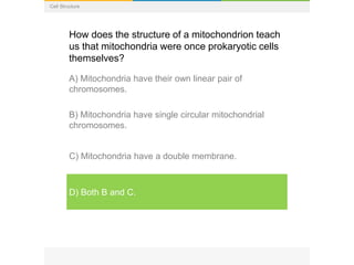 Cell Structure
How does the structure of a mitochondrion teach
us that mitochondria were once prokaryotic cells
themselves?
A) Mitochondria have their own linear pair of
chromosomes.
B) Mitochondria have single circular mitochondrial
chromosomes.
C) Mitochondria have a double membrane.
D) Both B and C.
 