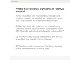 Cell Structure
What is the evolutionary significance of Pelomyxa
amoeba?
A) They lack their own mitochondria, instead using
symbiotic aerobic bacteria in their cytoplasm to obtain
ATP. This supports the theory of endosymbiosis.
B) They lack their own mitochondria, instead using
symbiotic aerobic bacteria in their cytoplasm to obtain
ATP. This tells us that not all eukaryotic cells need ATP.
C) They have very unusual mitochondria that closely
resemble those found in Escherichia coli.
D) They have mitochondria much like fungi, showing
us the amoeba evolved from the fungi.
 
