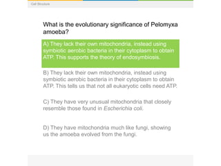 Cell Structure
What is the evolutionary significance of Pelomyxa
amoeba?
A) They lack their own mitochondria, instead using
symbiotic aerobic bacteria in their cytoplasm to obtain
ATP. This supports the theory of endosymbiosis.
B) They lack their own mitochondria, instead using
symbiotic aerobic bacteria in their cytoplasm to obtain
ATP. This tells us that not all eukaryotic cells need ATP.
C) They have very unusual mitochondria that closely
resemble those found in Escherichia coli.
D) They have mitochondria much like fungi, showing
us the amoeba evolved from the fungi.
 